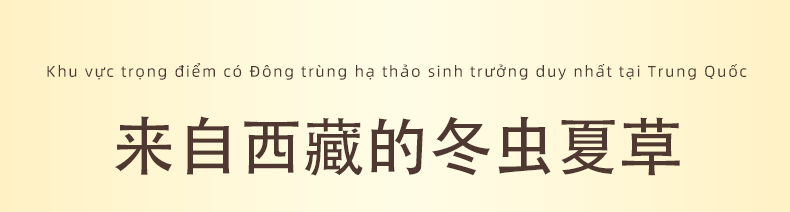 产品小档案 商品名称 野生冬虫夏草 原始产地 西藏那曲 商品重量 1克 品牌名称 尹阮氏 储存方式 冷冻 包装开工 散装、礼盒
