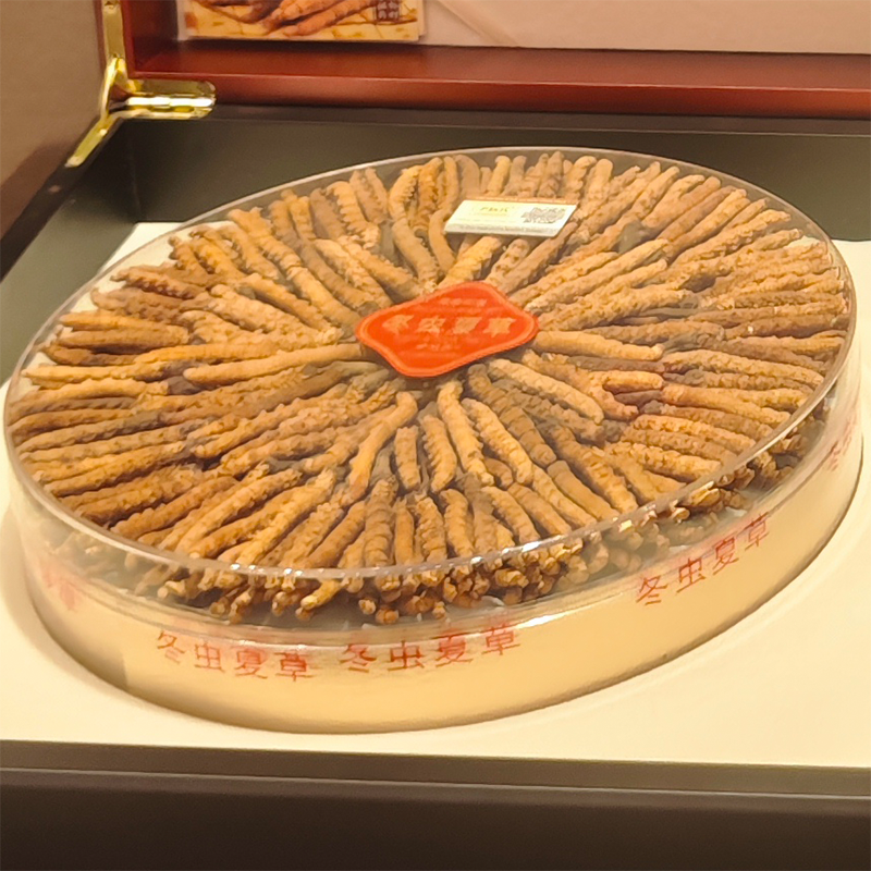 那曲野生冬虫夏草干货头期虫草