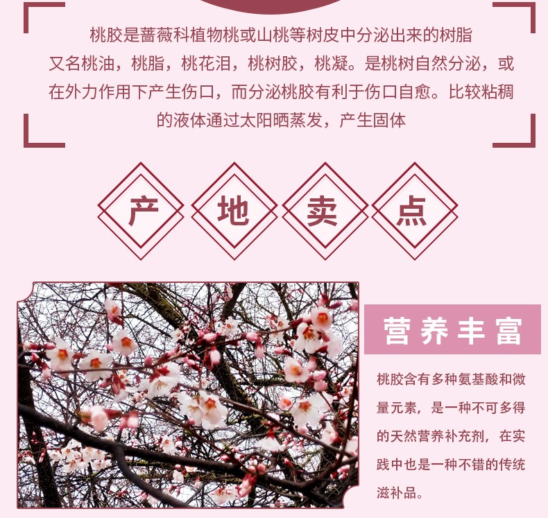 桃胶是蔷薇科植物桃或山桃等树皮中分泌出来的树脂又名桃油，桃脂，桃花泪，桃树胶，桃凝。是桃树自然分泌，或在外力作用下产生伤口，而分泌桃胶有利于伤口自愈。比较粘稠的液体通过太阳晒蒸发，产生固体。产地卖点：营养丰富，桃胶含有多种氨基酸和微量元素，是一种不可多得的天然营养补充剂，在实践中也是一种不错的传统滋补品。