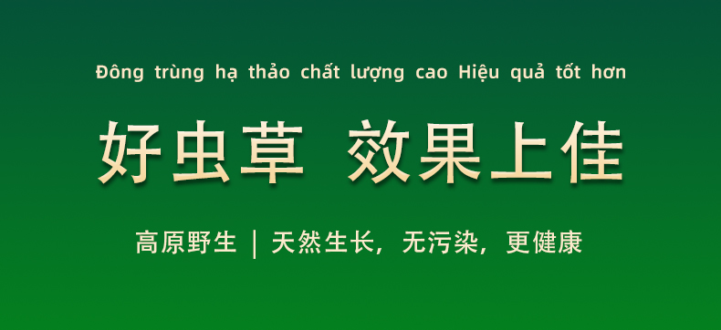 好虫草，效果上佳。高原野生，天然生长，无污染，更健康