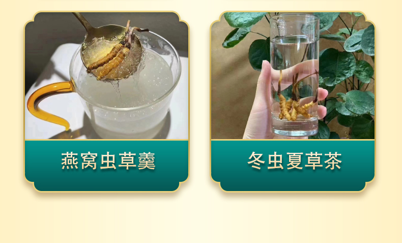 冬虫夏草的吃法:燕窝虫草羹、冬虫夏草茶