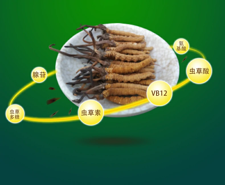 冬虫夏草的主要营养成分：腺苷、虫草多糖、虫草素、VB12、虫草酸、氨基酸
