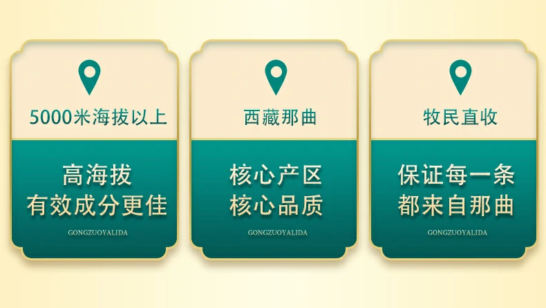 5000米海拔以上，高海拔有效成分更佳 西藏那曲，核心产区，核心品质 牧民直收，保证每一条都来自那曲