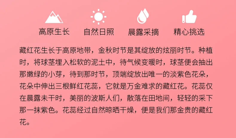 高原生长、自然日照、晨露采摘、精心挑选。藏红花生长于高原地带，金秋时节是其绽放的炫丽时节。种植时，将球茎埋入松软的泥土中，待气候变暖时，球茎便会抽出那嫩绿的小芽，待到那时节，顶端绽放出唯一的淡紫色花朵，花朵中伸出三根鲜红花蕊，它就是万金难求的藏红花。花蕊仅在晨露未干时，美丽的波斯人们，散落在田地间，轻轻的采下那一抹紫色。花蕊经过自然晾晒干燥，便是我们那金贵的藏红花。
