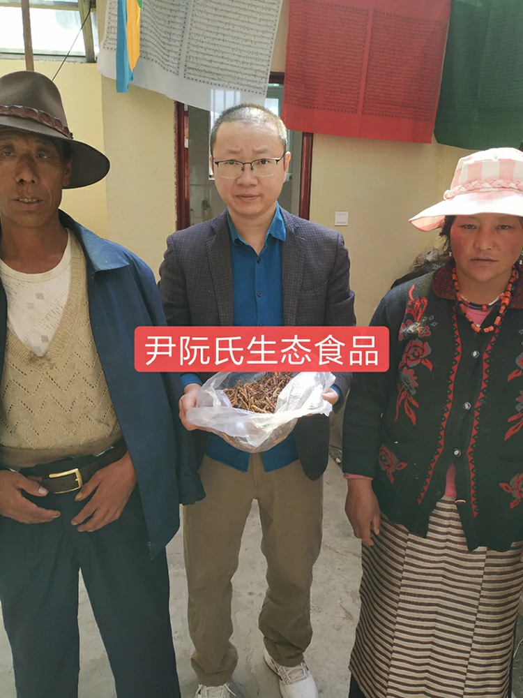 尹阮氏那曲野生冬虫夏草